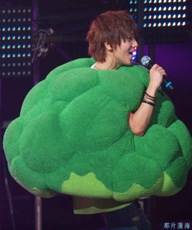 آول عمـل من فريق suju -ELF " تغطيه لـ Super Show III  [ موضوع مميز ] Broccoli